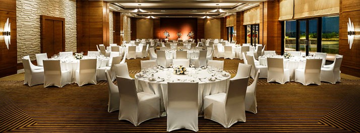 820/Hyatt - Raipur 06.jpg